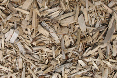 biomass boilers Woodsfold